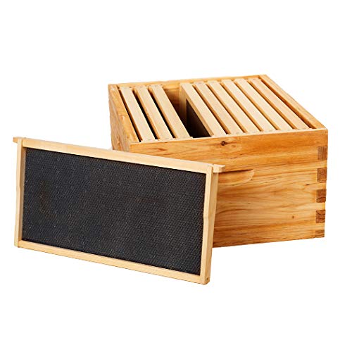 Heavy Wax Coated Unassembled Langstroth Deep/Brood Box with Frames and Beeswax Coated Foundation Sheet (10 Frame)