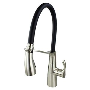 transolid t3660-ls organix pull-out kitchen faucet, luxe stainless