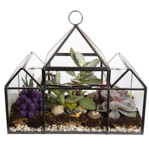 d'eco glass castle plant terrarium (10x4.5x9) - indoor tabletop & hanging black geometric planter - succulents, air plants, moss, fern - home garden office decor - holiday (no plants)