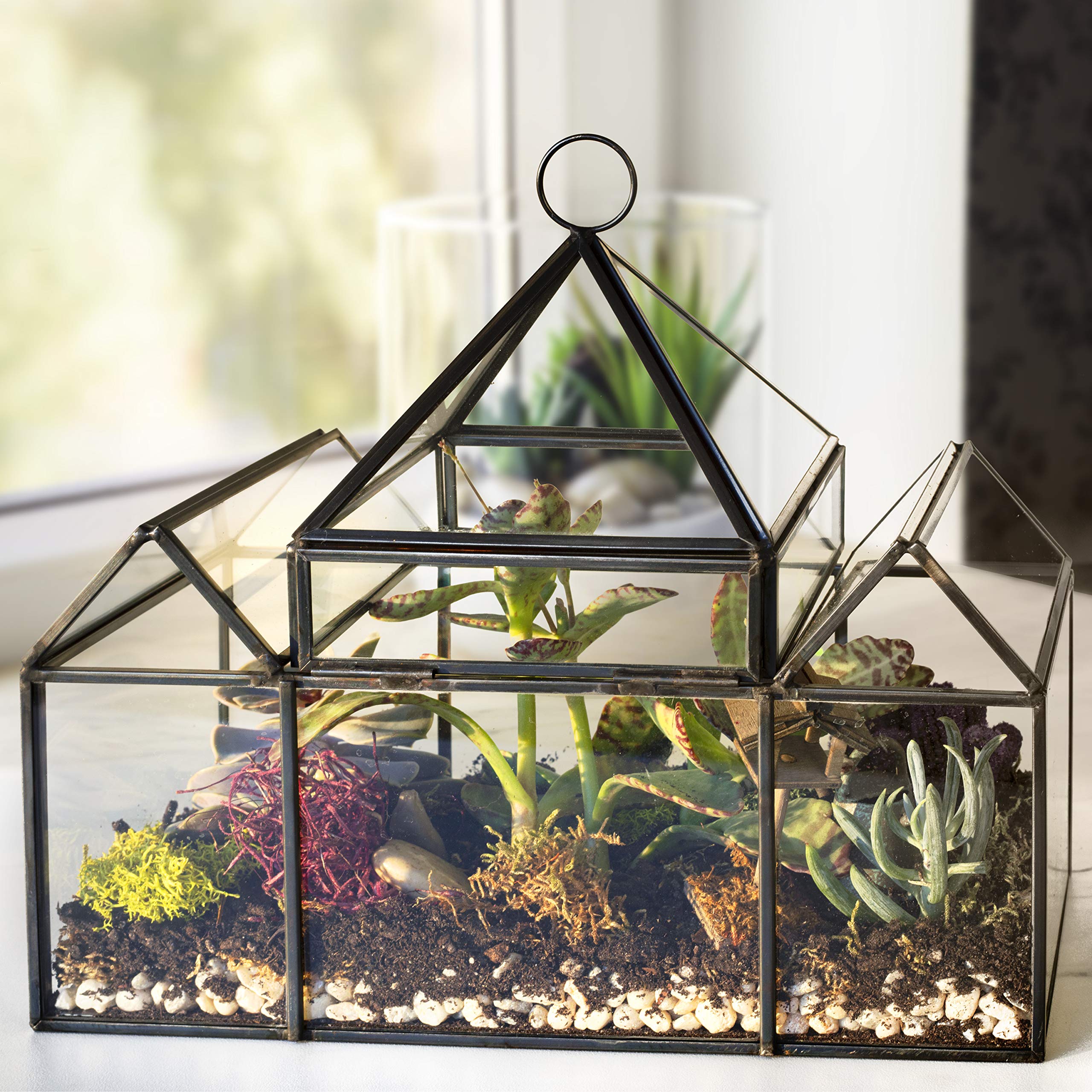 D'Eco Glass Castle Plant Terrarium (10x4.5x9) - Indoor Tabletop & Hanging Black Geometric Planter - Succulents, Air Plants, Moss, Fern - Home Garden Office Decor - Holiday (No Plants)