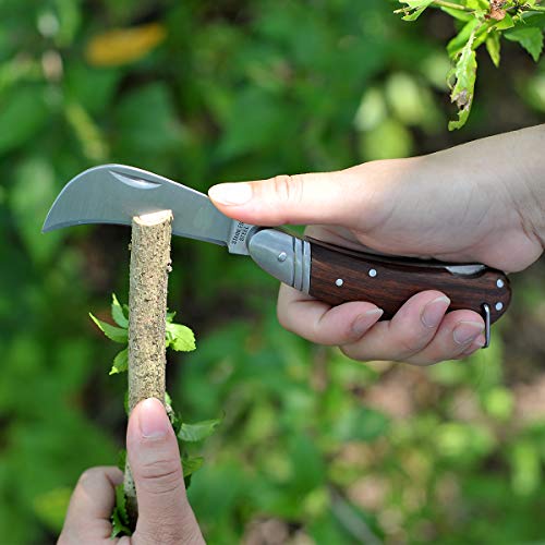 Linsen-Outdoor Pruning Knife with Lock Back,Grafting Knife, Stainless Steel Garden Budding Knife, Folding Pocket Knife for Grafting Multi Cutting Tool, Weed Bushes Branches Mushroom Diggig Knife