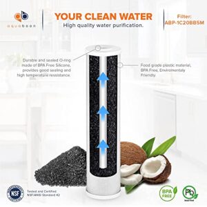 Aquaboon Universal Fit Whole House 5 Micron 20 x 4.5 inch Cartridge | Premium Coconut Shell Water Filter Cartridge | Activated Carbon Block CTO | Compatible with CB-45-2005, Pentek EP-20BB 6-Pack