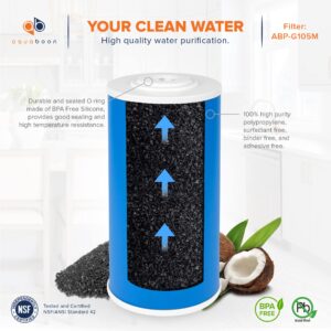 Aquaboon Premium 5 Micron 10" x 4.5" Whole House Coconut Shell Granular Activated Carbon (GAC) Water Filter Replacement Cartridge 10-Pack