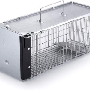 Faicuk Heavy Duty Squirrel Trap Chipmunk Trap Rat Trap and Other Similar-Size Rodents - 16.3” x 6” x 6.7”