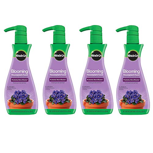 Miracle-Gro Blooming Houseplant Food, 8 oz, Plant Food Feeds All Flowering Houseplants Instantly, Including African Violets, 4 Pack