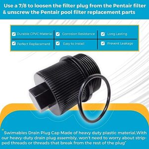 Swimables Filter Drain Plug Compatible with Pentair FNS Plus, Clean and Clear Plus and Quad DE Filters 190030 | Compatible with Pentair Drain Plug on Pentair Filter Parts | Oring Included
