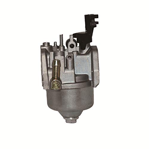 Autu Parts 595785 Carburetor for Briggs & Stratton Snow Thrower 592447 591154