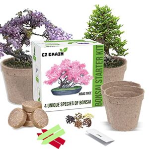 bonsai tree kit - grow 4 types of bonsai tree from seed - highly desired species