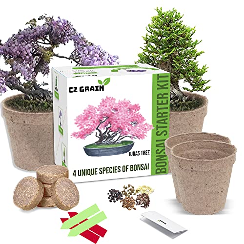 Bonsai Tree Kit - Grow 4 Types of Bonsai Tree from Seed - Highly Desired Species