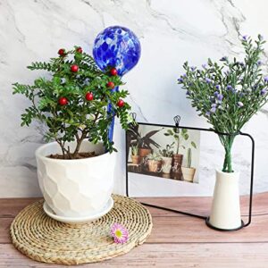 Brajttt Plant Watering Globes, 2 Pieces Automatic Watering Bulbs, Cute Glass Watering Globes with 2 Tags