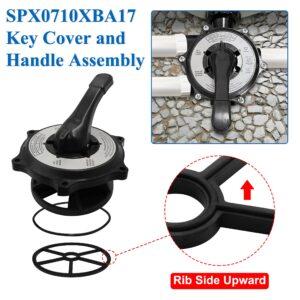 Byenins SPX0710XBA17 Key Cover and Handle Assembly Replacement for Hayward SPX0710X32,SP0710X62,with Gasket and O-Ring.