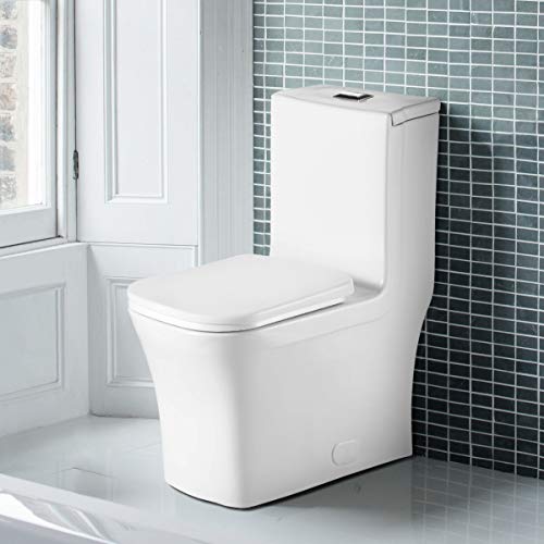 Fine Fixtures Dual-Flush Elongated One-Piece Toilet with High Efficiency Flush