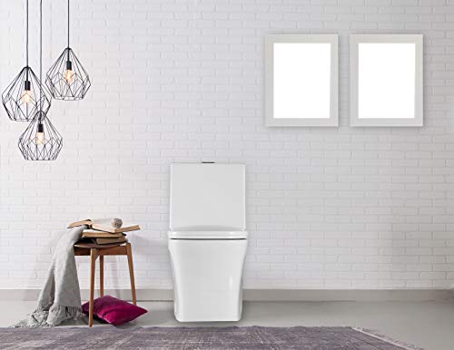 Fine Fixtures Dual-Flush Elongated One-Piece Toilet with High Efficiency Flush