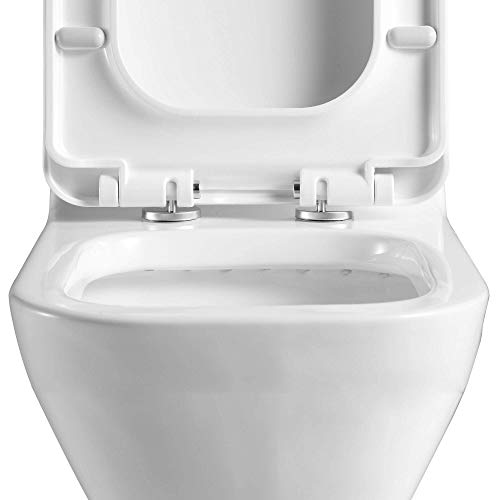 Fine Fixtures Dual-Flush Elongated One-Piece Toilet with High Efficiency Flush