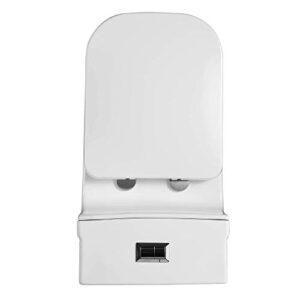 Fine Fixtures Dual-Flush Elongated One-Piece Toilet with High Efficiency Flush