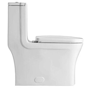 Fine Fixtures Dual-Flush Elongated One-Piece Toilet with High Efficiency Flush