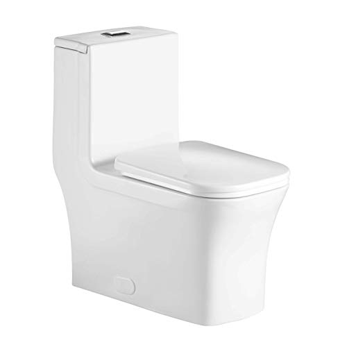 Fine Fixtures Dual-Flush Elongated One-Piece Toilet with High Efficiency Flush