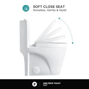 Fine Fixtures Dual-Flush Elongated One Piece Toilet Bowl - Soft Close Seat with High Efficiency Dual Flush in White…