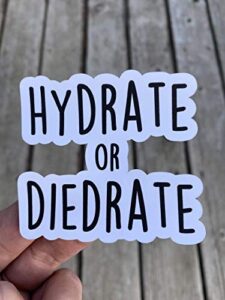 hydrate or diedrate sticker, laptop sticker, water bottle sticker, phone sticker, window sticker, drink water sticker, funny sticker