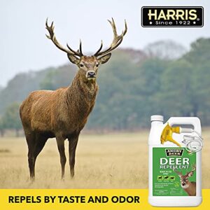 Harris Deer Repellent, Long Lasting Ready to Use Plant Safe Formula, 128oz