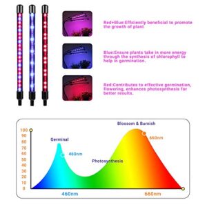 LED Grow Light for Indoor Plants, 4WDKING 40W Full Spectrum Plant Growing Lamps with Auto ON/Off Timer 10 Level Brightness 3 Switch Red/Blue Modes