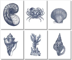 beach wall decor art prints (set of 6) - vintage seashells - 8x10 - unframed - blue
