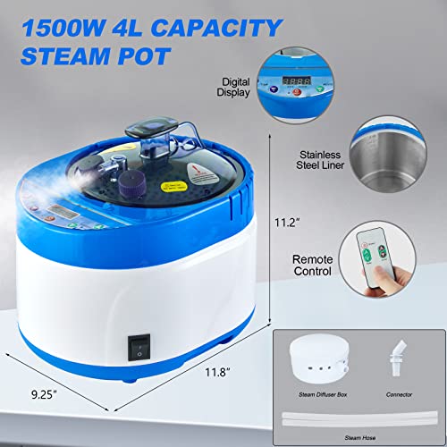 ZONEMEL Sauna Steamer Portable Pot 4 Liters, Stainless Steel Steam Generator with Remote Control, Spa Machine with Timer Display Mist Moisturizing for Body Detox, Home Spa (Blue, US Plug)