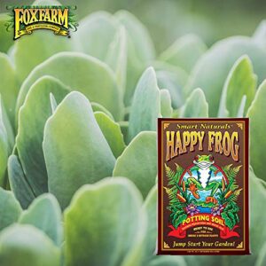 Fox Farm Happy Frog Organic Potting Soil, Growing Soil 12 Quart for Indoor and Outdoor Plants, Potted Plants, Container Gardening (Bundle with Pearsons Protective Gloves) 2 Pack of 12 Quart