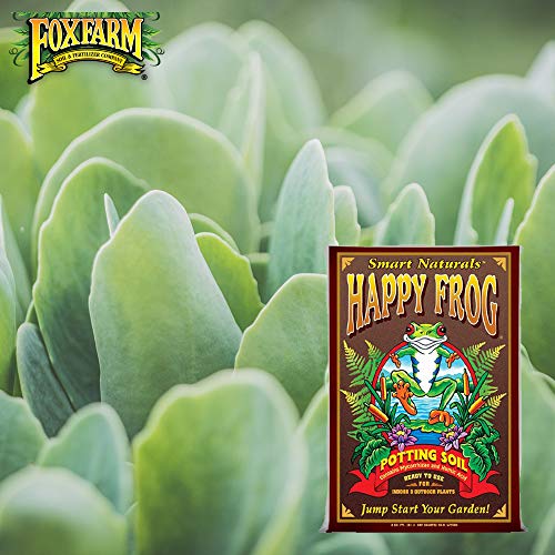 Fox Farm Happy Frog Organic Potting Soil, Growing Soil 12 Quart for Indoor and Outdoor Plants, Potted Plants, Container Gardening (Bundle with Pearsons Protective Gloves) 2 Pack of 12 Quart