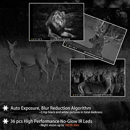 2-Pack No Glow Game & Deer Trail Cameras 24MP 1080P H.264 Video 100ft Night Vision Motion Activated 0.1S Trigger Speed Waterproof Farm & Yard Cameras for Home Surveillance & Outdoor Wildlife Hunting