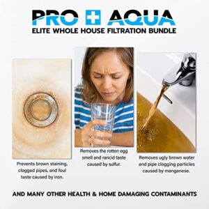 PRO+AQUA Heavy Duty Whole House Well Water Filter System - 100,000 Grains, 99% Effective, Easy Installation, 5-Year Warranty