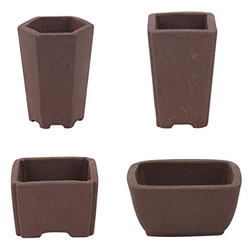 Happy Bonsai 4 pc Zisha Mini Bonsai Pots 2" Width