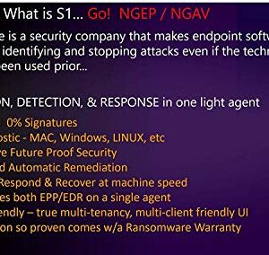 SentinelOne Endpoint Protection - Autonomous AI Platform, Multiple AI Engines, Complete Visibility for Cyber Security | 1 Month Subscription