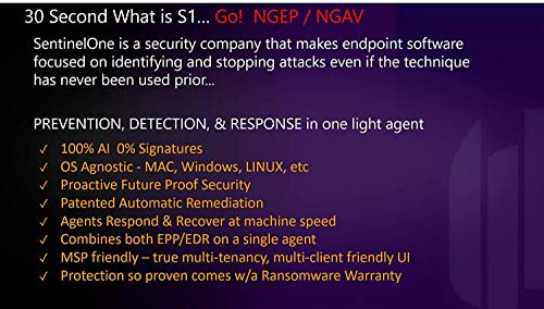 SentinelOne Endpoint Protection - Autonomous AI Platform, Multiple AI Engines, Complete Visibility for Cyber Security | 1 Month Subscription