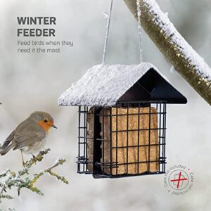 Suet Bird Feeder for Outside [Double Capacity] Suet Wild Bird Feeder with Hanging Metal Roof, Suet Feeders for Outside, for Use with Suet Cakes, Seed Cakes, Mealworm Cakes