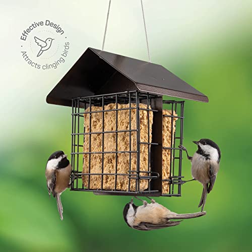 Suet Bird Feeder for Outside [Double Capacity] Suet Wild Bird Feeder with Hanging Metal Roof, Suet Feeders for Outside, for Use with Suet Cakes, Seed Cakes, Mealworm Cakes