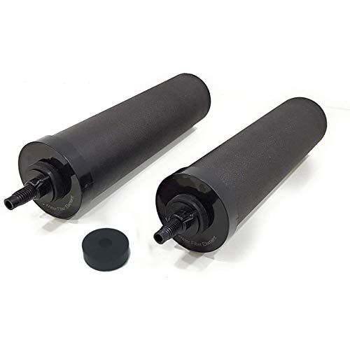 DayOne Today DOT Universal High Performance Carbon Block Filters, S, Black Standard Pack