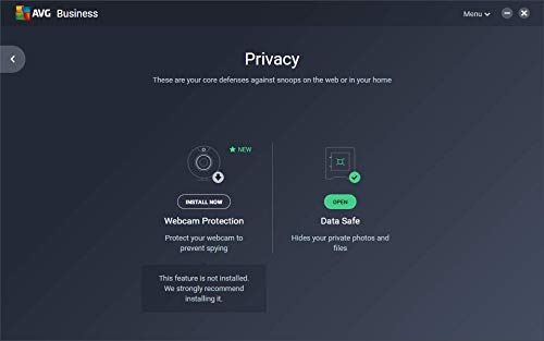 AVG Internet Security Business Edition 2020 | Antivirus protection for PCs, emails, servers & network | 25 Devices, 1 Year [Download]