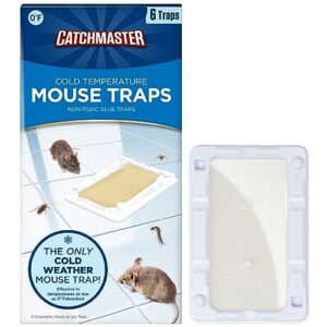 catchmaster cold weather mouse traps indoor for home 6pk, winter pest control adhesive tray for bugs, crickets, & spiders, pet safe glue traps for mice in basement, walk-in fridge, warehouse, & garage