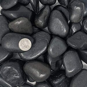 Midwest Hearth Natural Decorative Polished Black Pebbles 1" to 3" Size (10-lb Bag)
