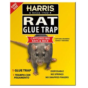 Harris King Size Rat & Mouse Glue Trap