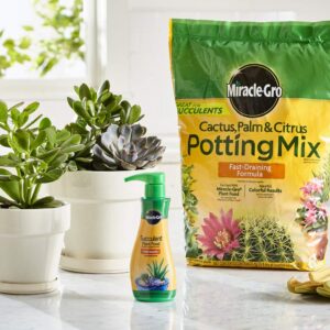 Miracle-Gro Cactus, Palm & Citrus Potting Mix and Plant Food - Bundle of Soil (8 qt.) and Liquid Plant Food (8 oz.) for Growing and Fertilizing Indoor Succulents