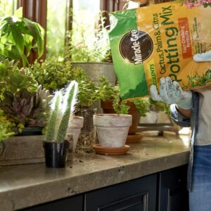 Miracle-Gro Cactus, Palm & Citrus Potting Mix and Plant Food - Bundle of Soil (8 qt.) and Liquid Plant Food (8 oz.) for Growing and Fertilizing Indoor Succulents