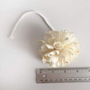 4 Dahlia Sola Flower Diffuser Cotton Wick for Home Fragrance Aroma Oil by Plawanature