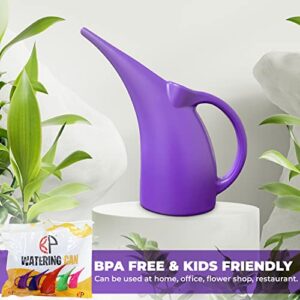 KP KOOL PRODUCTS Watering Can 1/2 Gallon - Small Watering Can for Indoor Plants - Outdoor Watering Can - Black Plant Waterer - Plastic Watering Can for Garden - 1 Pack