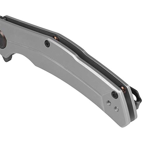 Kershaw Believer Pocketknife, 3.25" 8Cr13MoV Steel Clip Point Blade, One-Handed Assisted Opening, Frame Lock System