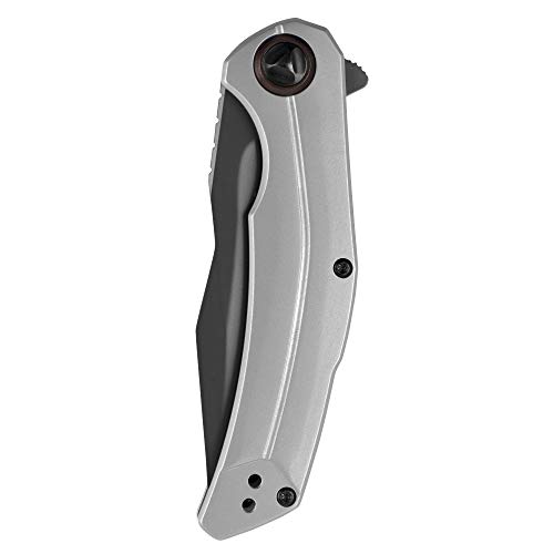 Kershaw Believer Pocketknife, 3.25" 8Cr13MoV Steel Clip Point Blade, One-Handed Assisted Opening, Frame Lock System