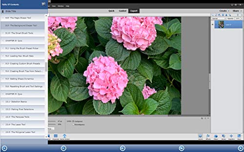 TEACHUCOMP Video Training Tutorial for Photoshop Elements (R) 2020 DVD-ROM Course and PDF Manual