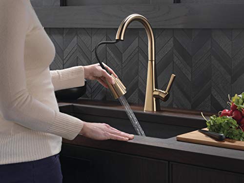 Delta Faucet Lenta Gold Kitchen Faucets with Pull Down Sprayer, Kitchen Sink Faucet with Magnetic Docking Spray Head, Faucet for Kitchen Sink, Champagne Bronze 19802Z-CZ-DST