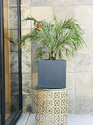 Kante 12" Square Concrete Planters for Outdoor Outdoor Patio Garden, Lightweight Modern Planter Pots Charcoal